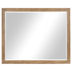Taylor Brown Dresser Mirror