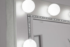 Eleanor Silver Dresser Mirror