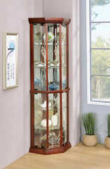 Appledale Brown Curio Cabinet