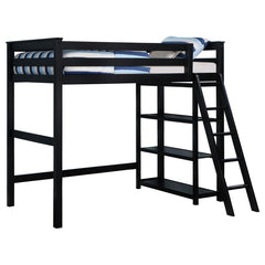 Anica Black Twin Loft Bed