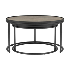 Rodrigo Brown 2 Pc Nesting Coffee Table