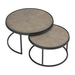 Rodrigo Brown 2 Pc Nesting Coffee Table