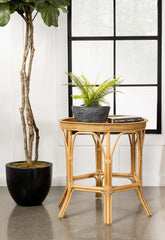 Antonio Brown Side Table