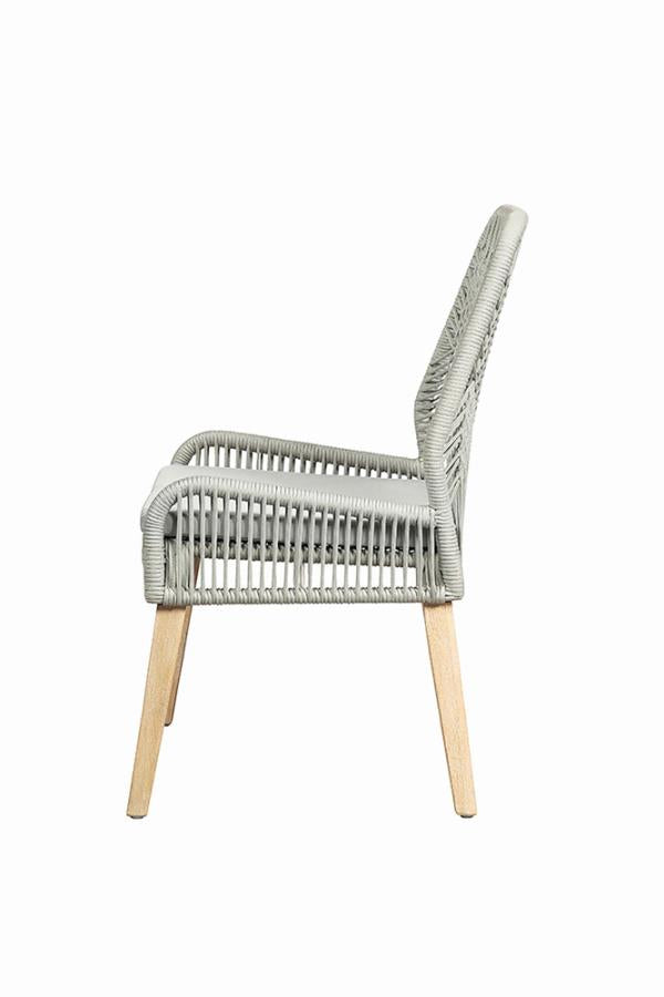 Nakia Grey Side Chair