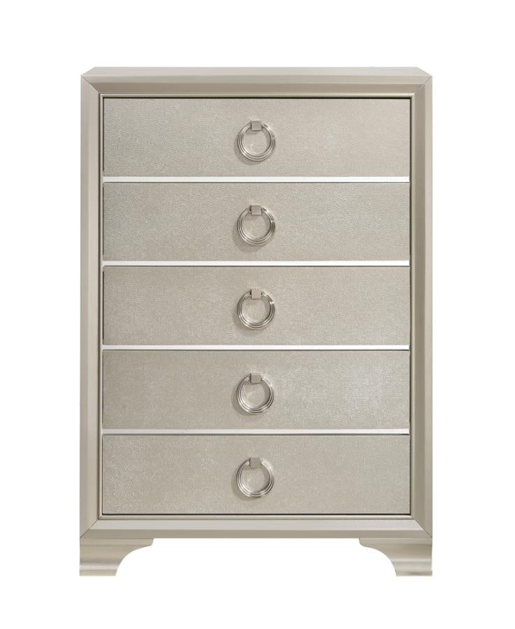 Salford Silver Chest