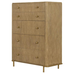 Arini Brown Chest