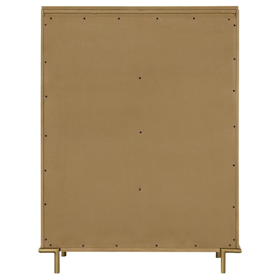 Arini Brown Chest