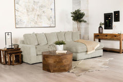 Blaine Beige Sectional