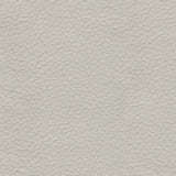 Belziani Sofa and Loveseat