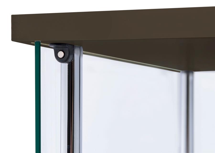 Bellatrix Brown Curio Cabinet