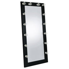Zayan Black Floor Mirror