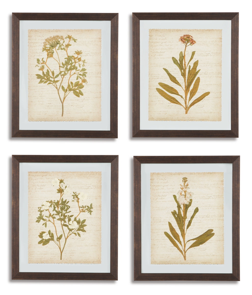 Dyani Wall Art (Set of 4) - The Bargain Furniture