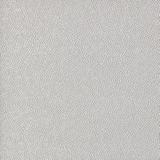 Coralayne Queen Upholstered Bed with Mirrored Dresser - PKG000045